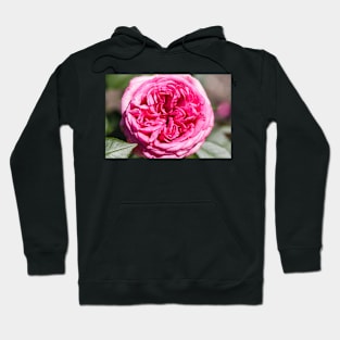 Pink rose Hoodie